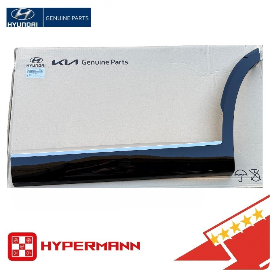 GENUINE (SHINY BLACK) REAR Door Molding Garnish for PALISADE Calligraphy 21-22