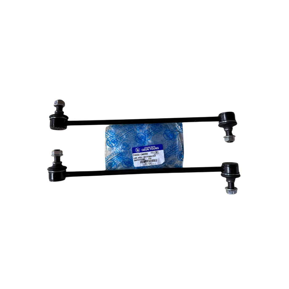 2 PCS Set 548302W000 Stabilizer Bar Link FRONT LEFT RIGHT Sedona Santa Fe 13-19