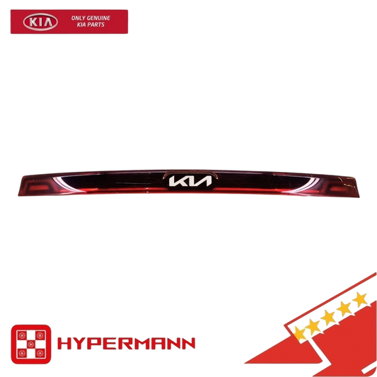 GENUINE 92409-R0210 Lamp ASSY Center Garnish KIA SEDONA CARNIVAL 22-24 Bulb Type