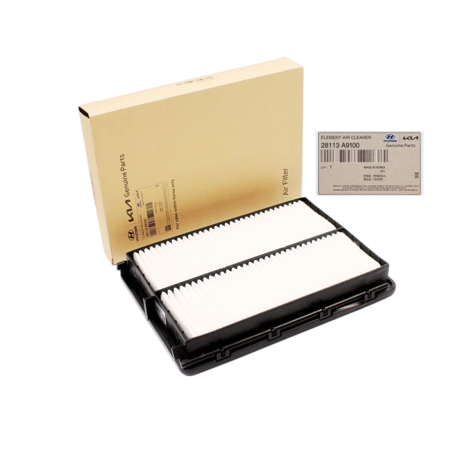 ☑️Genuine 28113A9100 Engine Air Filter for 20-24 HYUNDAI Palisade 16-20 Santa Fe